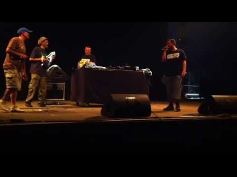 BUSH CHEMISTS feat S'KAYA - DOUR FESTIVAL 2013