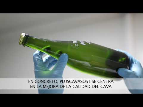 Proyecto Pluscavasost.