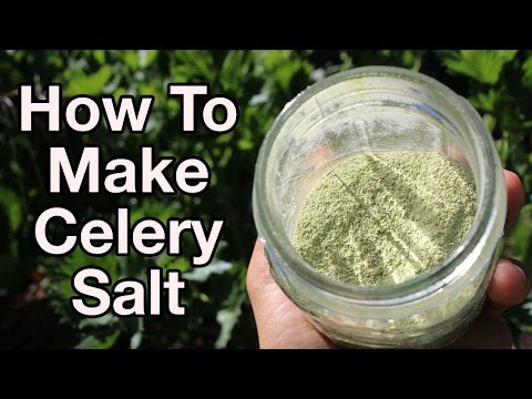 download lagu mp3 mp4 Celery Salt Ingredients, download lagu Celery Salt Ingredients gratis, unduh video klip Celery Salt Ingredients