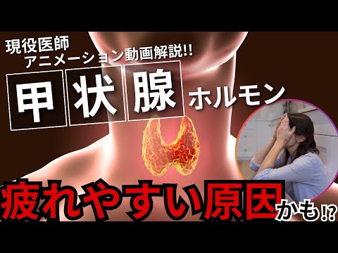  TSH 検査 – それは何であり、何のためにあるのか