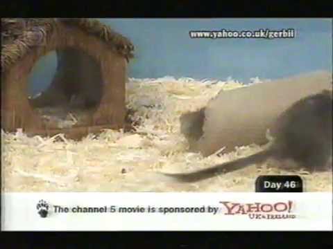 Channel 5 continuity - Thursday 26th April 2001