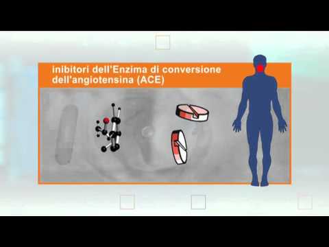 Come il succo di betulla influisce sulla potenza Equine patogeno gusto odore
