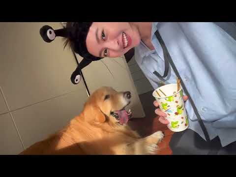 โลกเอียง (Tilt) Ost. 23.5 องศาที่โลกเอียง - Cover by View Benyapa