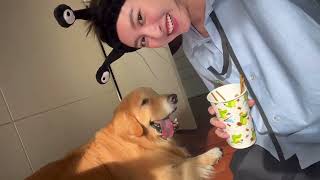 Download lagu โลกเอียง (Tilt) Ost. 23.5 องศาที่โลกเอียง - Cover by View Benyapa mp3