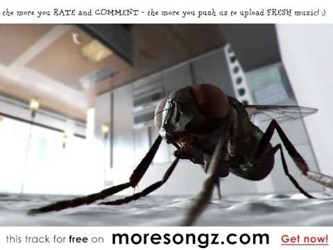 Persian - Naughty Bird (Steve Soulbasics Jungle Ruff - Cut)