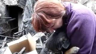 Crying dog hugs owner after house fire