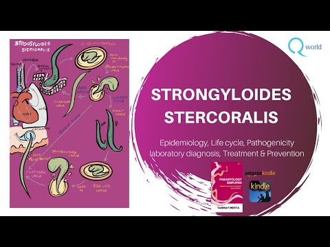 A strongyloidiasis helminták)