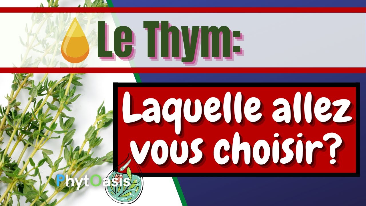 Le THYM: 3 Huiles Essentielles différentes, Laquelle est Faite pour Vous