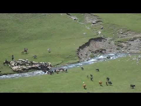 Störrische Esel in Kirgisien: Hirten treiben Herde durch Ter-Suu-Fluss