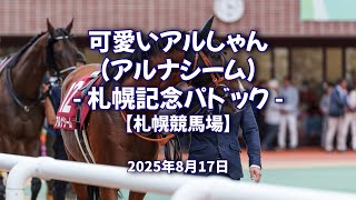2025年8月17日 可愛いアルしゃん（アルナシーム）  札幌記念パドック 【札幌競馬場】