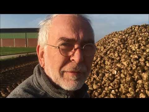 Rübenernte Dezember 2019