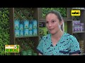 ABC Rural Programa 11 Proceso De Trabajo Para Lograr La Mejor Yerba