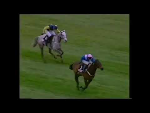 Top 20 Best Hurdlers from 1990 - 1999