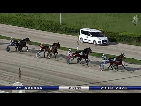 Aversa trotto 29 Marzo 2023 - 7° Corsa