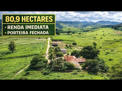 🌾🌿OLHA ESSA FAZENDA A VENDA EM MINAS 😱 8 REPRESAS, RIO E PRODUÇÃO LEITEIRA!
