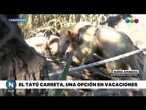 El Tatú Carreta, una opción en vacaciones de invierno