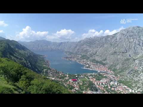 közös kezelés montenegróban