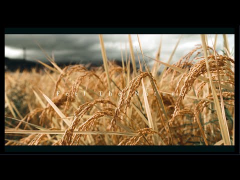 feel the nature - autumn in Nirasaki -