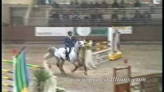 Equestrians//Teenage Graffiti - The Pink Spiders