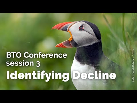 BTO Conference: Session 3 - Identifying Decline