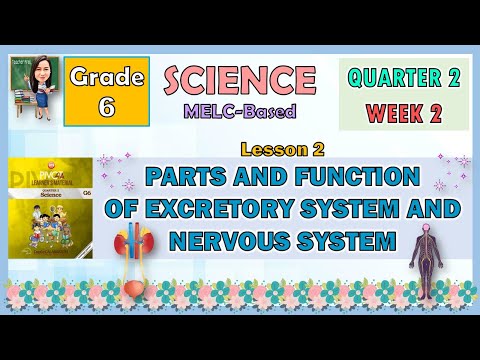SCIENCE 6 QUARTER 2 WEEK 3 LESSON 2 | PARTS AND FUNCTION OF EXCRETORY SYSTEM AND NERVOUS SYSTEM