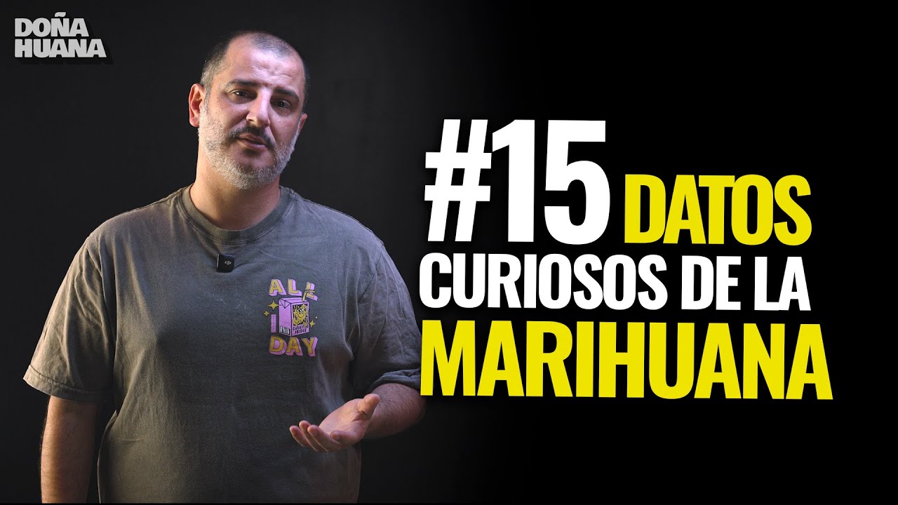 15 Datos curiosos de la Marihuana en Argentina