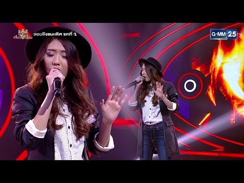 สนแรงถั่ว ไม่โปรตีนสั่นแรง
