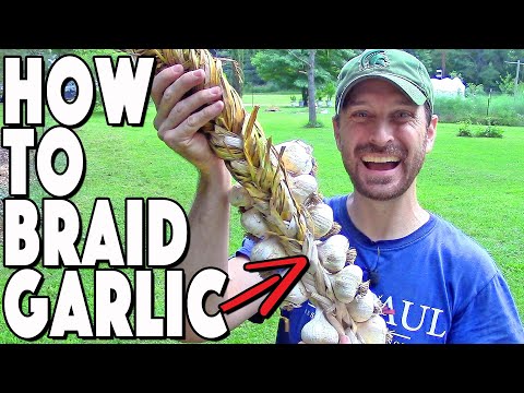 , title : 'Garlic Braiding Instructions! Easy 3 Step Tutorial! Old Fashioned Method.'