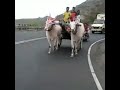Only Shetkari Brand Is Brand