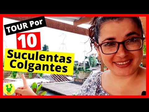 , title : 'TOUR por 10 SUCULENTAS COLGANTES'