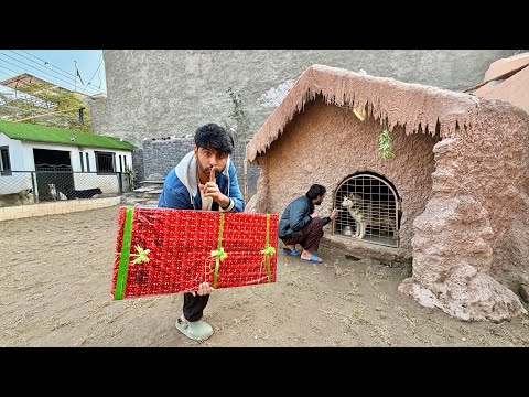 Turab Ko Surprise Gift De Diya😍 Kis Ny Bhijwaya ? 