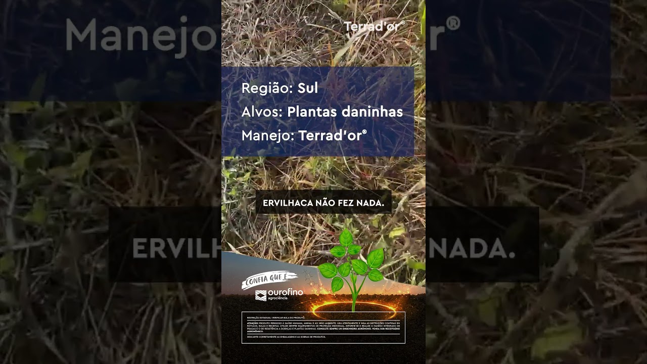 Resultados que fazem a diferença no dia a dia da lavoura!