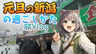 【元旦の新潟Vlog】店休だらけの新潟で味な年始を過ごしてみた！