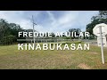 0913 Kinabukasan - Freddie Aguilar (Karaoke)