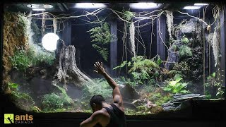 Saying Goodbye to Some Beloved Animals in My Giant Rainforest Vivarium