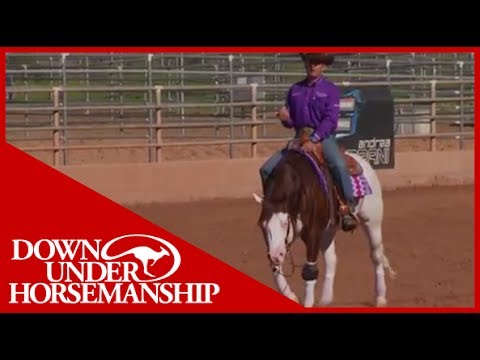 Clinton Anderson Presents: Titan a Legend in the Making, Lesson 12, Part 2 - Downunder Horsemanship
