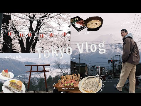 Excursión de un día al monte Fuji Kawaguchiko 🇯🇵 / Santuario Kawaguchi Asama / Puerta Kanatori / Distrito comercial Shimoyoshida / HARBS / Roppongi Kushisen Meat Man / Tokyo Vlog