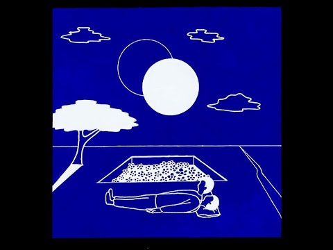 American Pleasure Club - i blew on a dandelion and the whole world disappeared