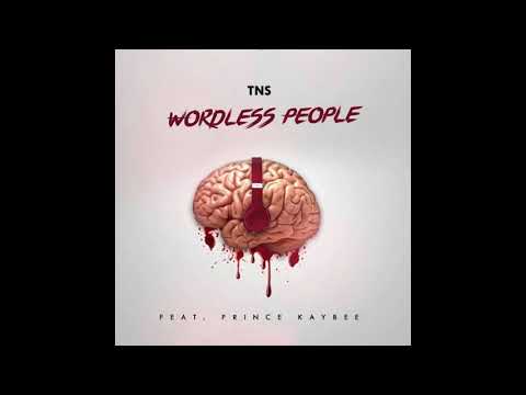 TNS - Wordless People (feat. Prince Kaybee)