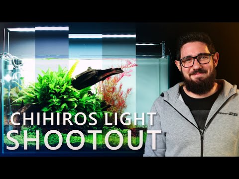 Which AQUARIUM LIGHT Should You Choose? | Chihiros Light SHOOTOUT