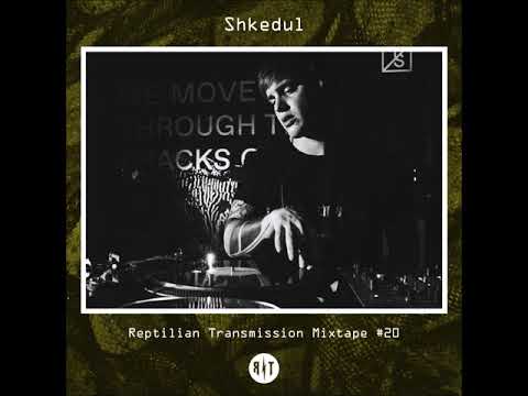 Reptilian Transmission#20 - Shkedul