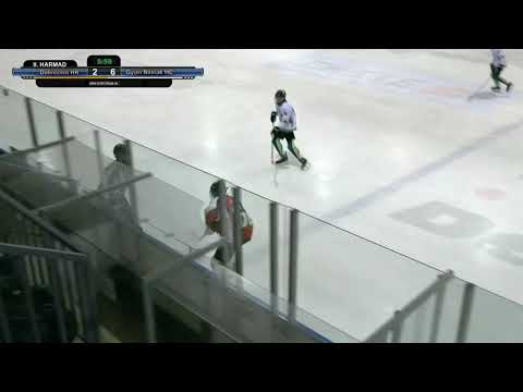 Összefoglaló: U14 222 DHK-Győr 5-8 | 2021. 03. 04.