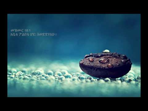 Sophia Shibabaw Mezmur Wude