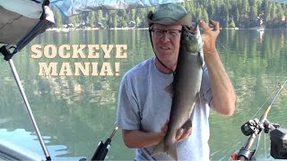 preview picture of video 'Lake Wenatchee Sockeye Mania 2014'