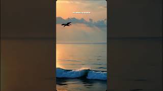 Download lagu I'd climb every mountain..swim every ocean #viral #viralvideo #viralshorts #shorts#aestheticstatus mp3