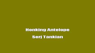 Serj Tankian - Honking Antelope (Karaoke Lyrics)