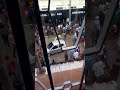 A Day Light Fight In The Streets Of Nairobi
