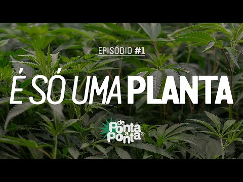 De Ponta a Ponta - É Só Uma Planta - Episódio #1