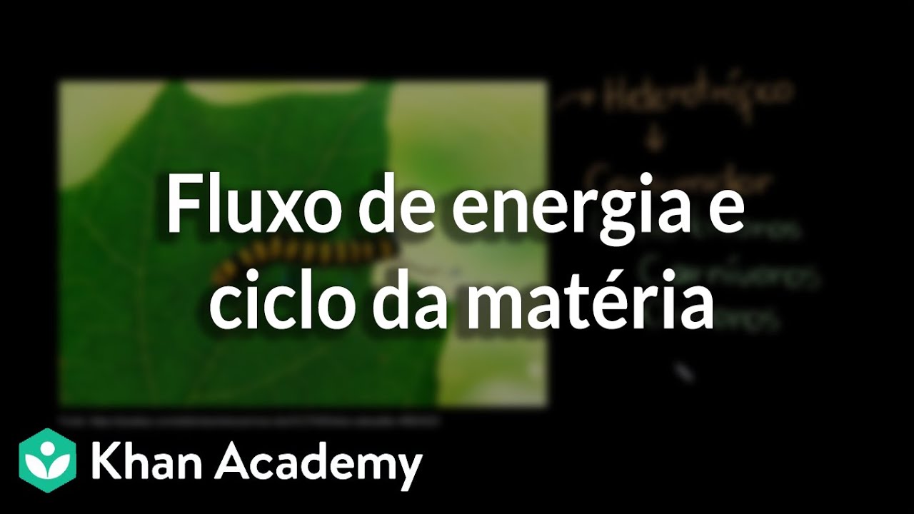 Fluxo de energia e ciclo da matéria