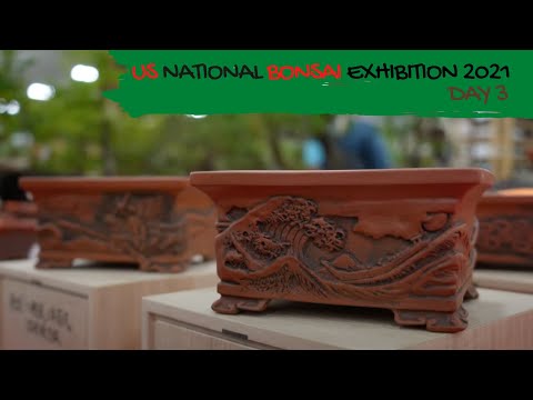 7th US NATIONAL BONSAI EXHIBITION 2021 - DAY 3/4 #USNATIONBONSAI